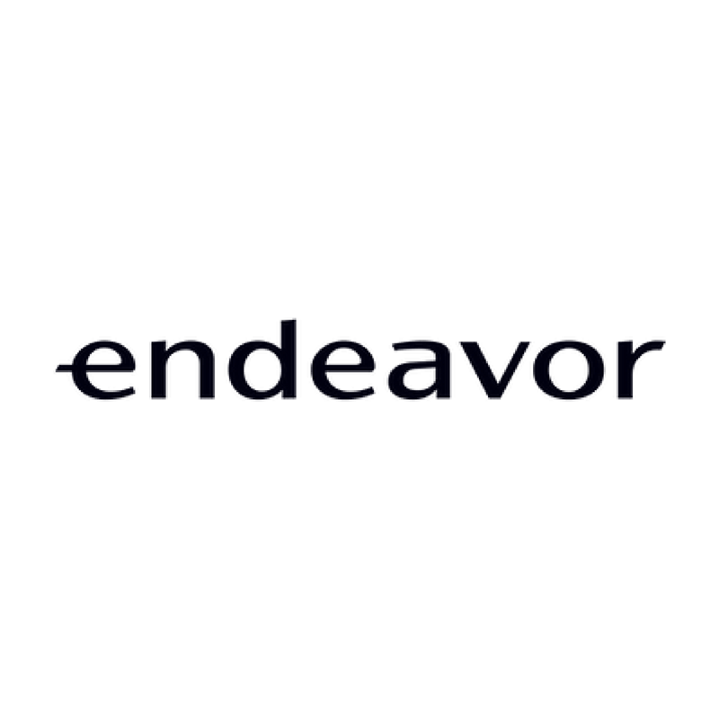 endeavor